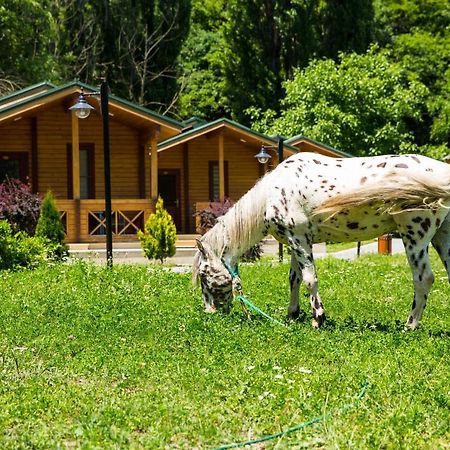 Cennet Bagi Guba Hotel Ґуба Екстер'єр фото
