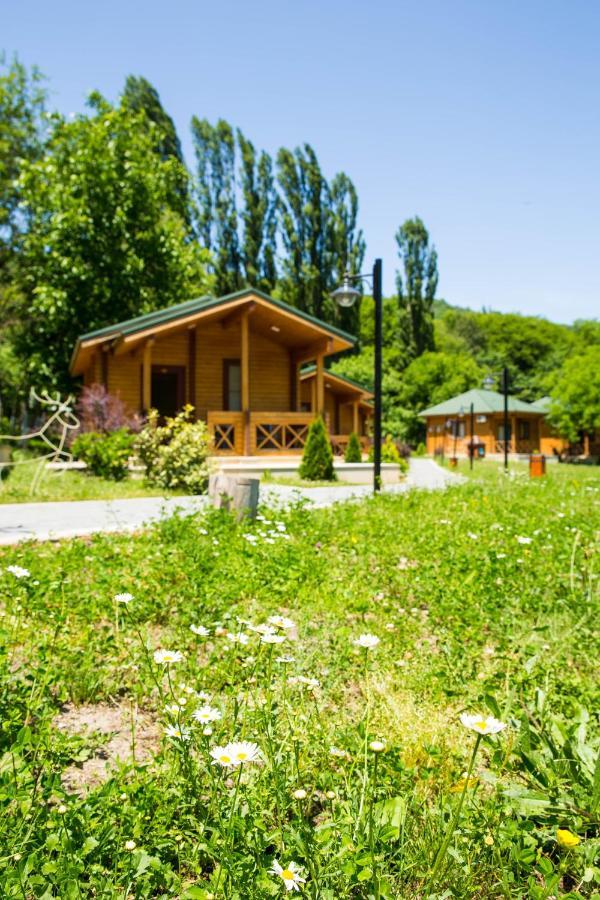 Cennet Bagi Guba Hotel Ґуба Екстер'єр фото